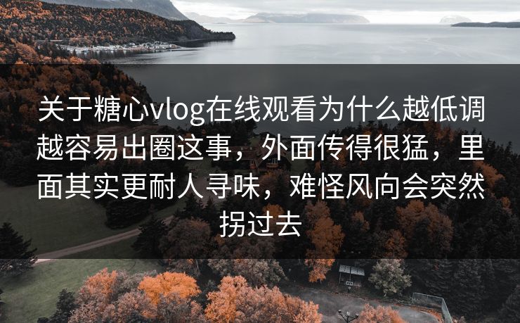 关于糖心vlog在线观看为什么越低调越容易出圈这事，外面传得很猛，里面其实更耐人寻味，难怪风向会突然拐过去