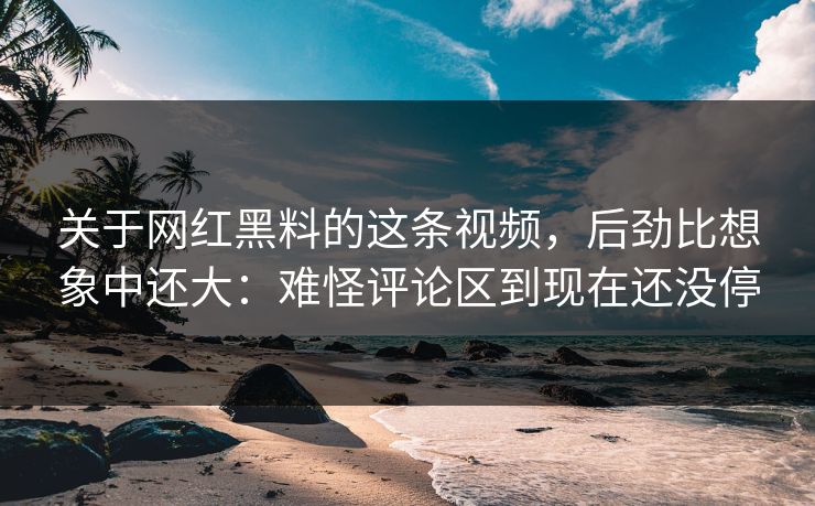 关于网红黑料的这条视频，后劲比想象中还大：难怪评论区到现在还没停