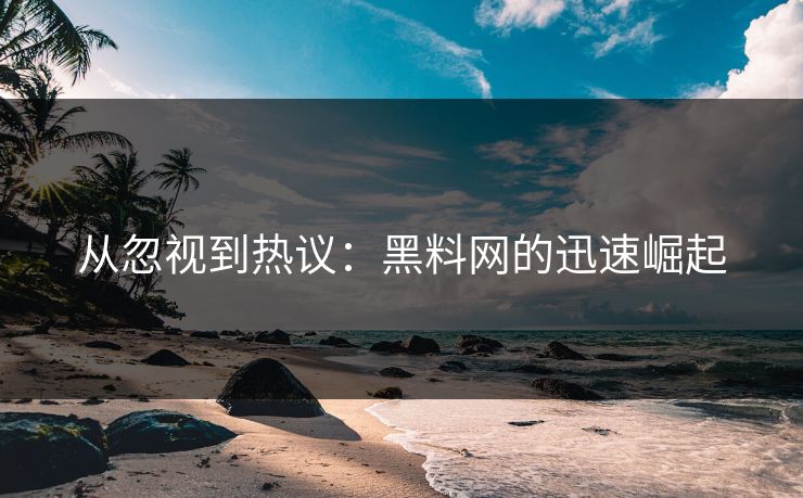 从忽视到热议：黑料网的迅速崛起