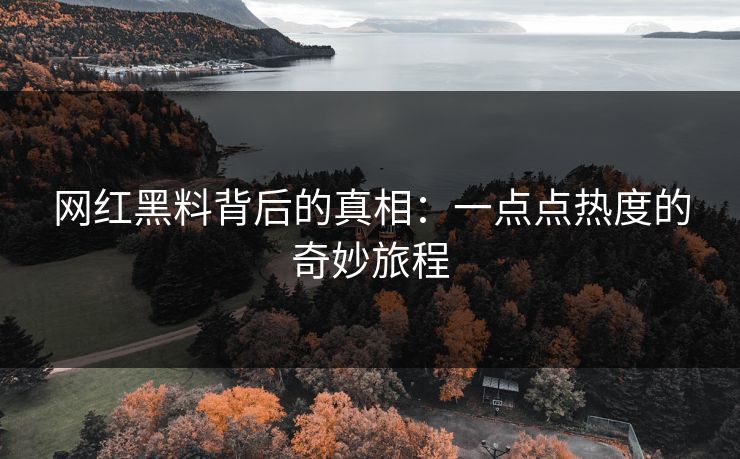 网红黑料背后的真相：一点点热度的奇妙旅程