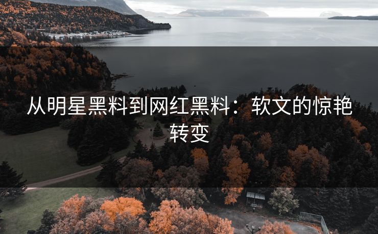 从明星黑料到网红黑料：软文的惊艳转变