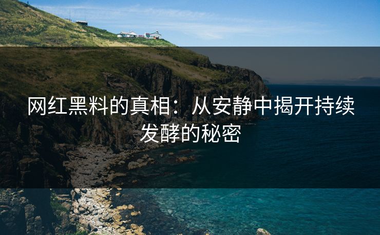 网红黑料的真相：从安静中揭开持续发酵的秘密