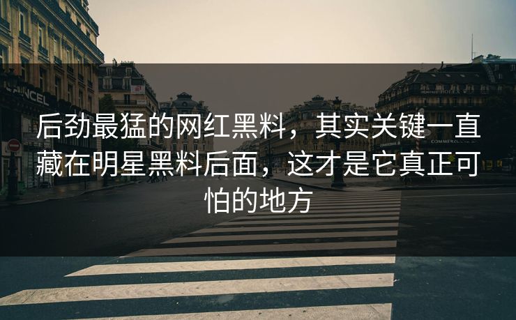 后劲最猛的网红黑料，其实关键一直藏在明星黑料后面，这才是它真正可怕的地方