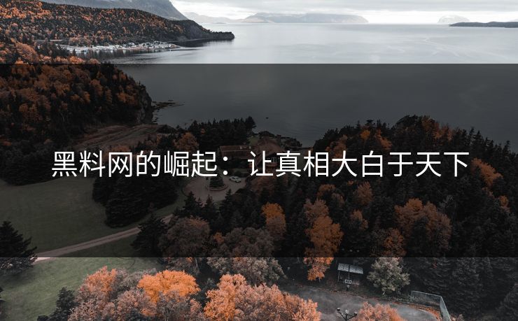 黑料网的崛起：让真相大白于天下