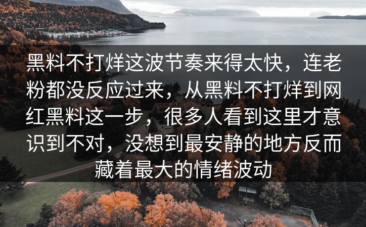 黑料不打烊这波节奏来得太快，连老粉都没反应过来，从黑料不打烊到网红黑料这一步，很多人看到这里才意识到不对，没想到最安静的地方反而藏着最大的情绪波动