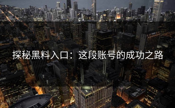 探秘黑料入口：这段账号的成功之路