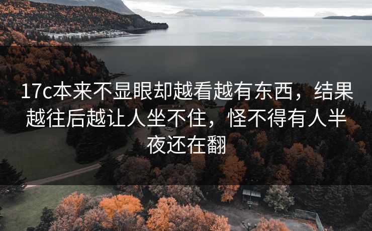 17c本来不显眼却越看越有东西，结果越往后越让人坐不住，怪不得有人半夜还在翻