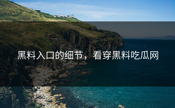 黑料入口的细节，看穿黑料吃瓜网